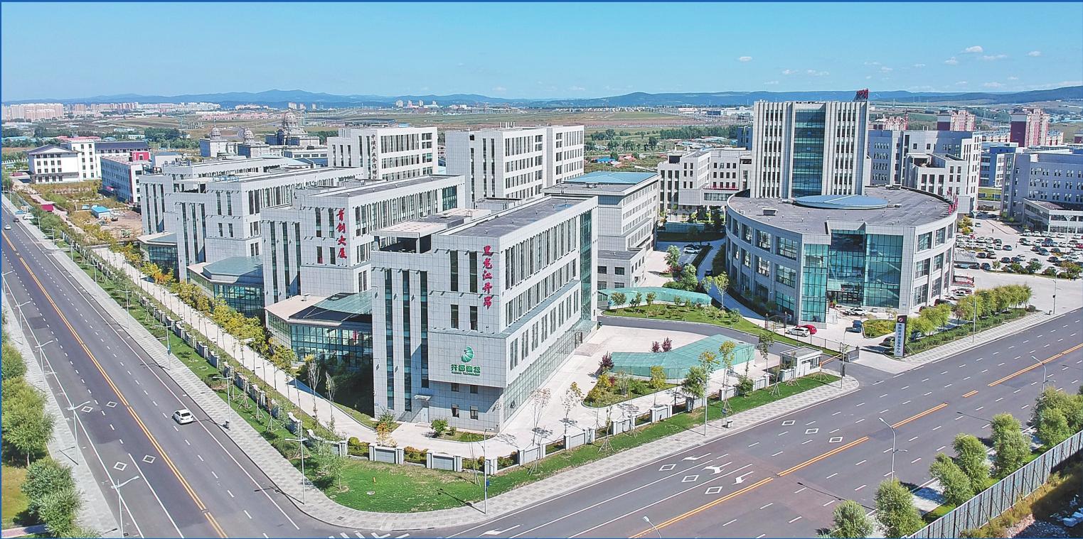 牡丹江网站建设